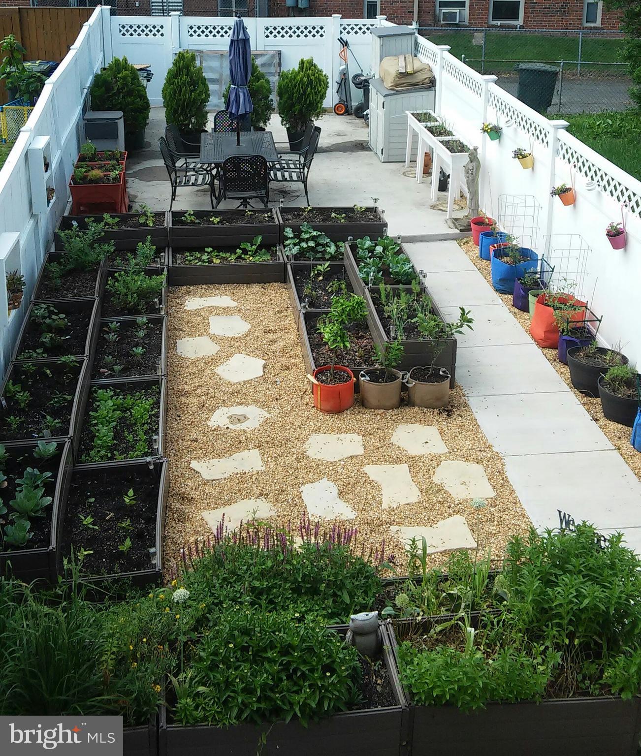 1348 Rittenhouse Street Northwest Washington, DC 20011 - Photo 27 of 27 Garden in bloom
