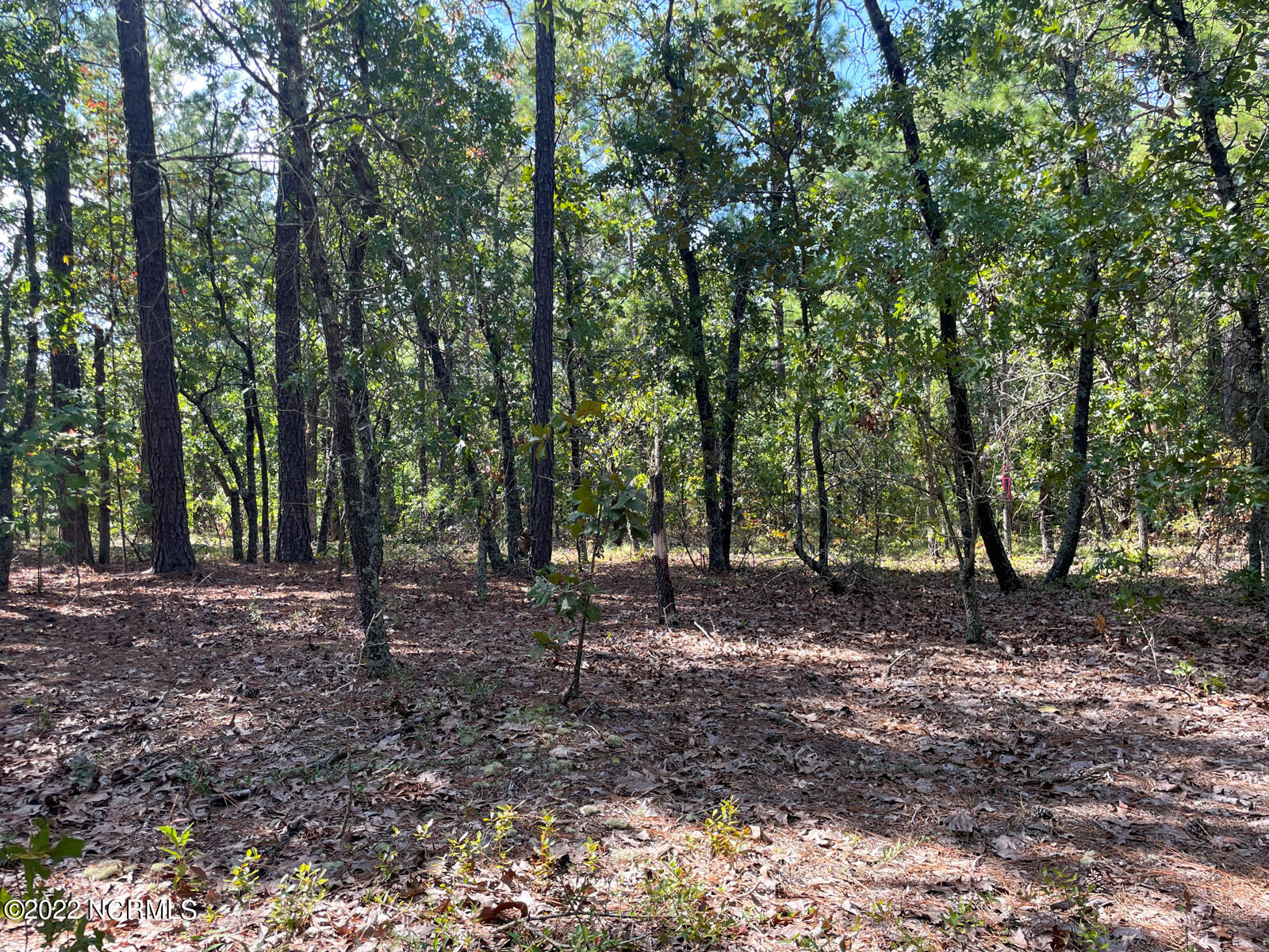 Tbd McGill Road Cameron, NC 28326 - Photo 19 of 24 McGill rd (23)