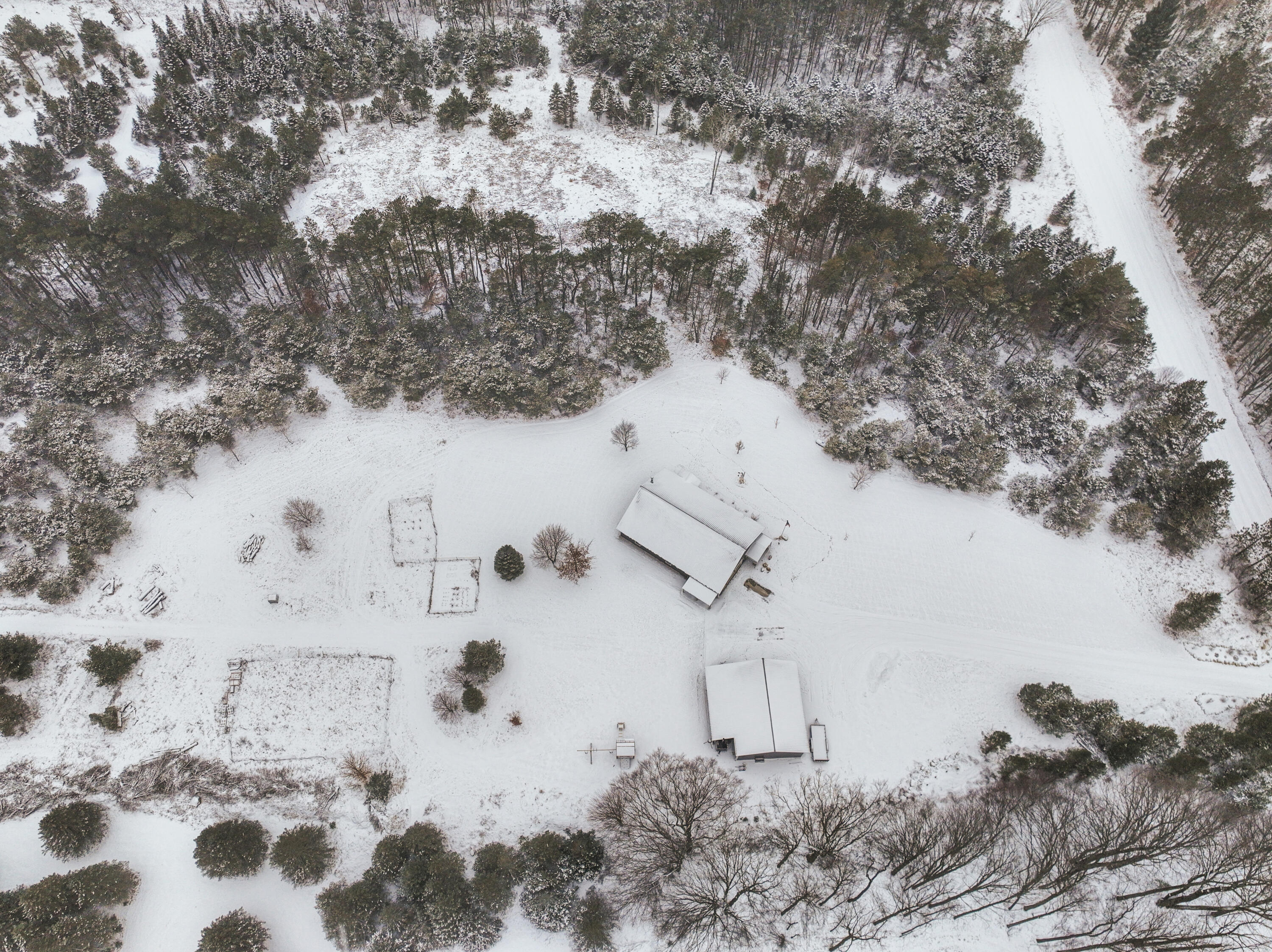 20467 Pine Road Leroy, MI 49655 - Photo 42 of 55 DJI_0709