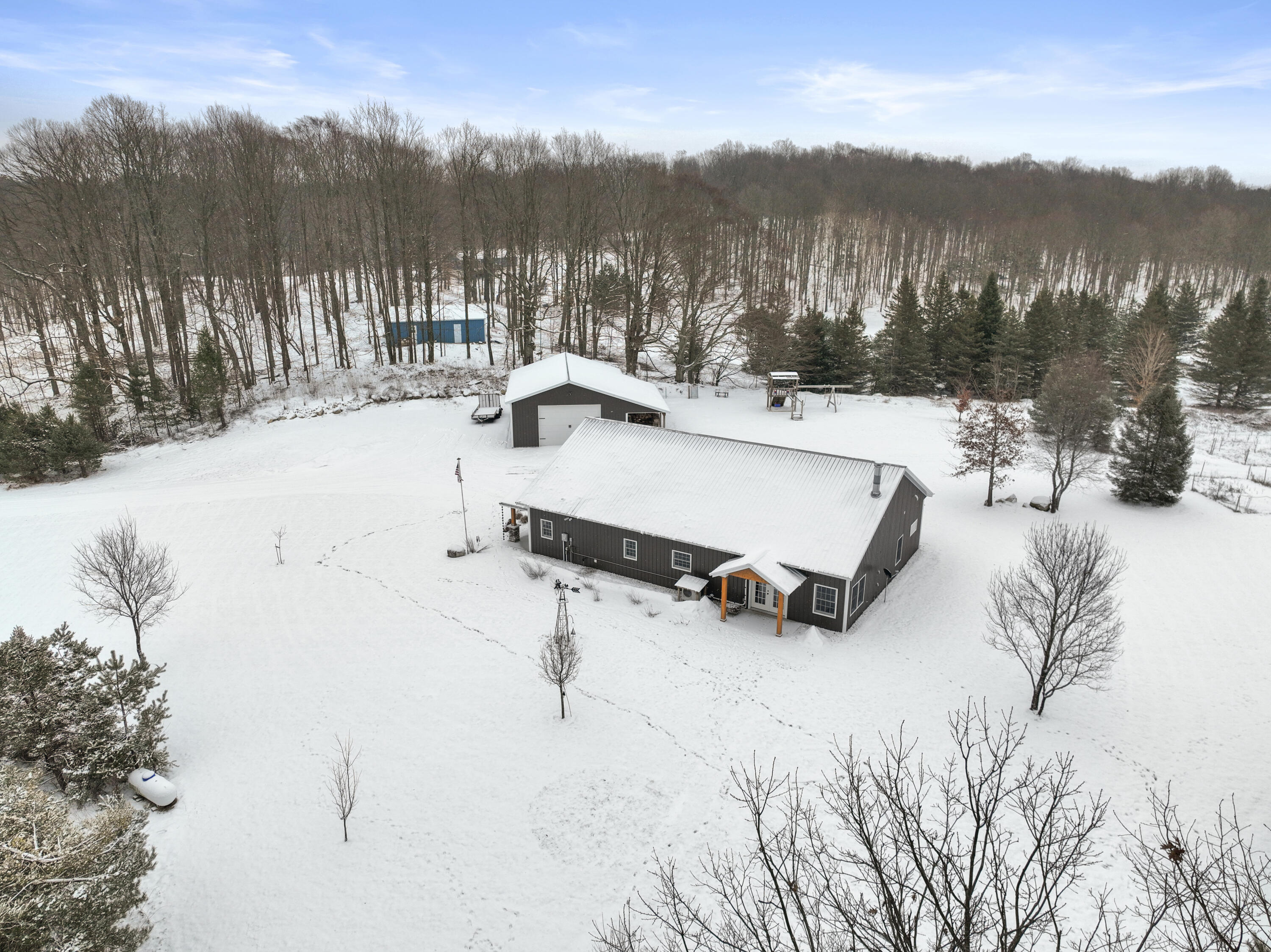 20467 Pine Road Leroy, MI 49655 - Photo 43 of 55 DJI_0716