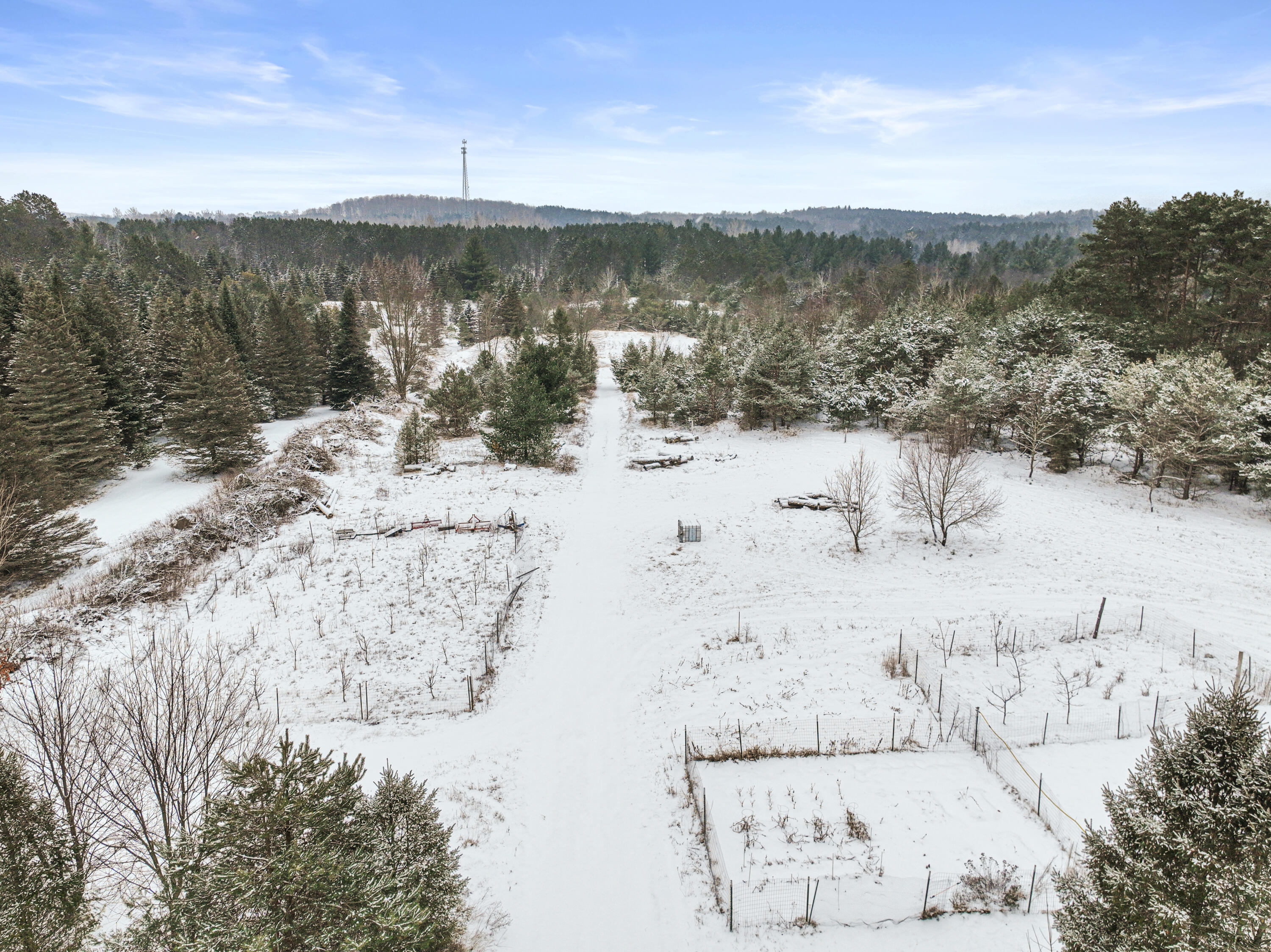 20467 Pine Road Leroy, MI 49655 - Photo 52 of 55 DJI_0712