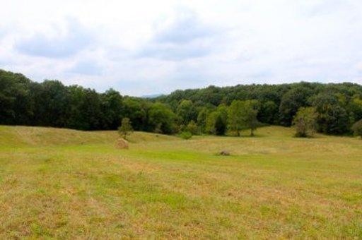 23 Byerley Bend Road Mascot, TN 37806 - Photo 8 of 13 Gallery Image 8
