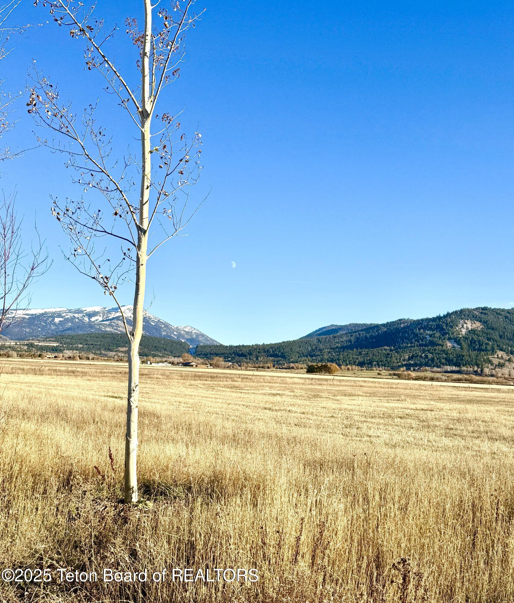 9500 West 9500 South Victor, ID 83455 - Photo 15 of 16 Lot 1 CW Taylor Mtn. Teton Pass