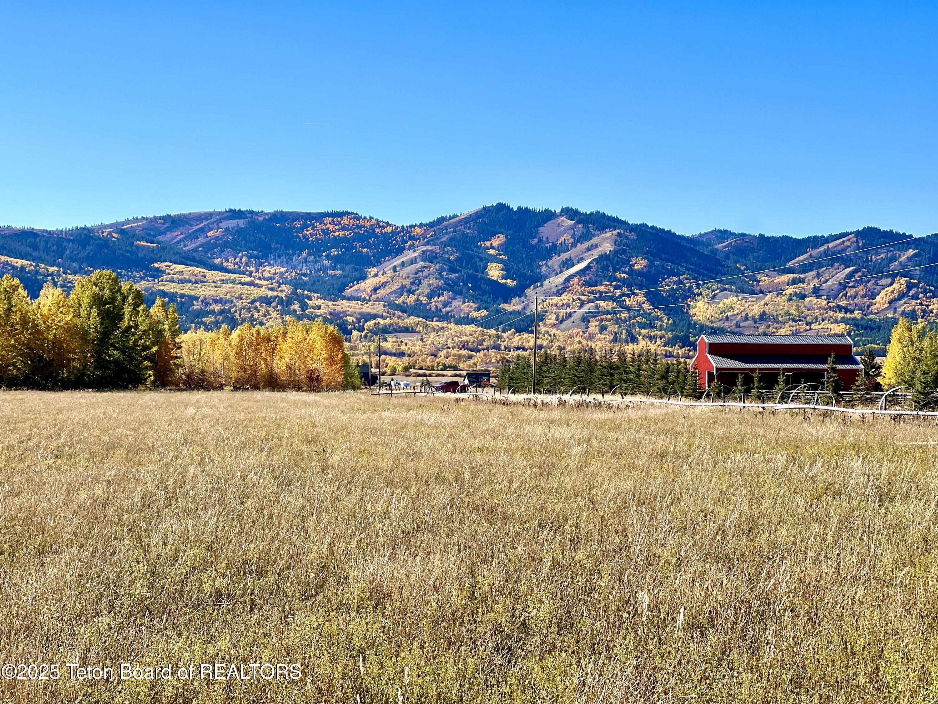 9500 West 9500 South Victor, ID 83455 - Photo 5 of 16 Canyon Wren fall photo4