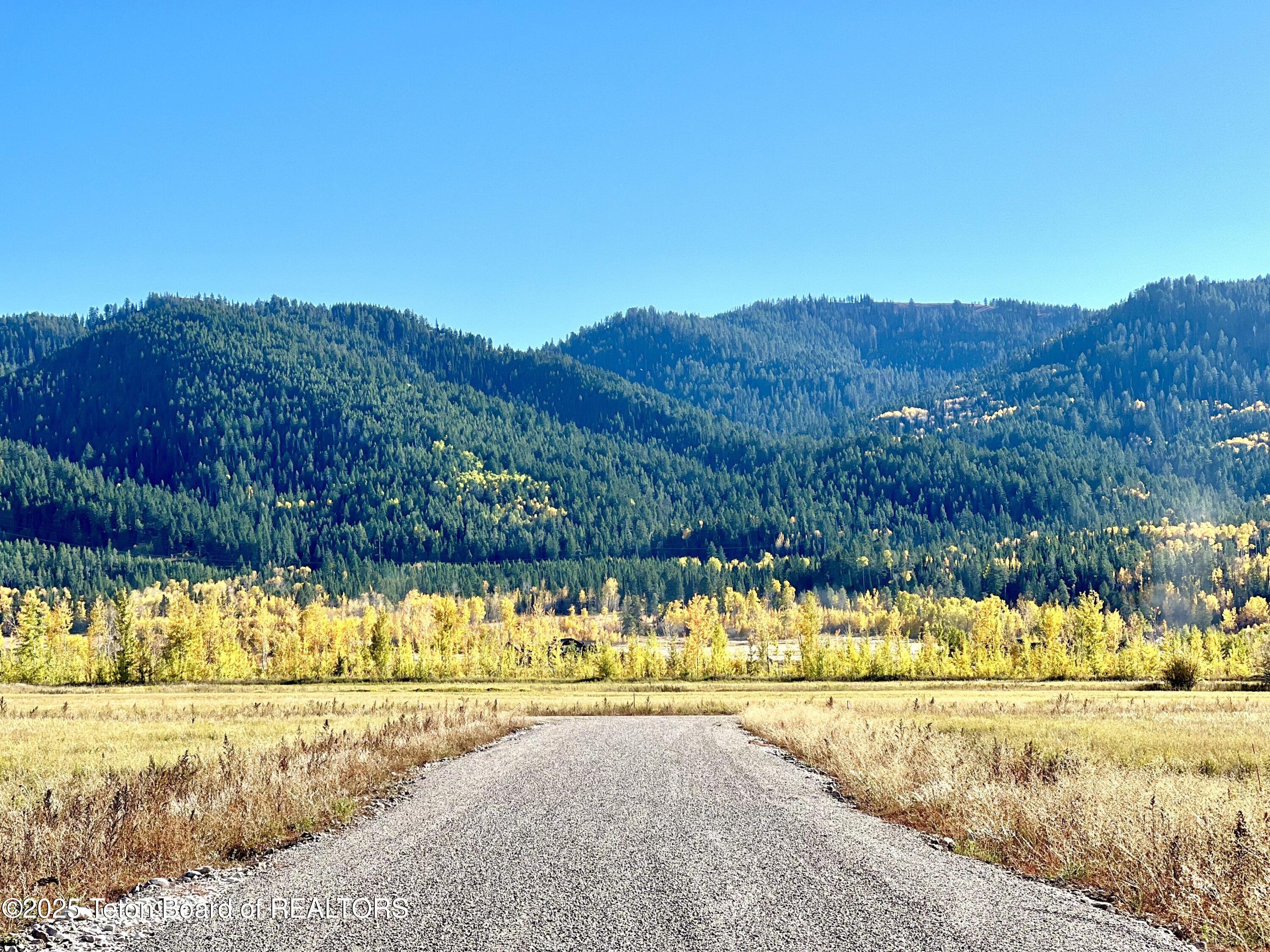 9500 West 9500 South Victor, ID 83455 - Photo 6 of 16 Canyon Wren fall photo6