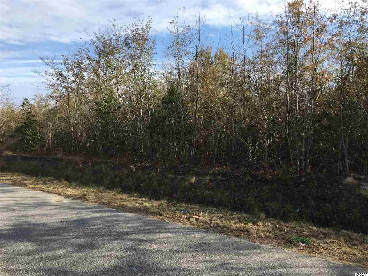 2 Huckleberry Road Galivants Ferry, SC 29544 - Photo 14 of 19 Gallery Image 14
