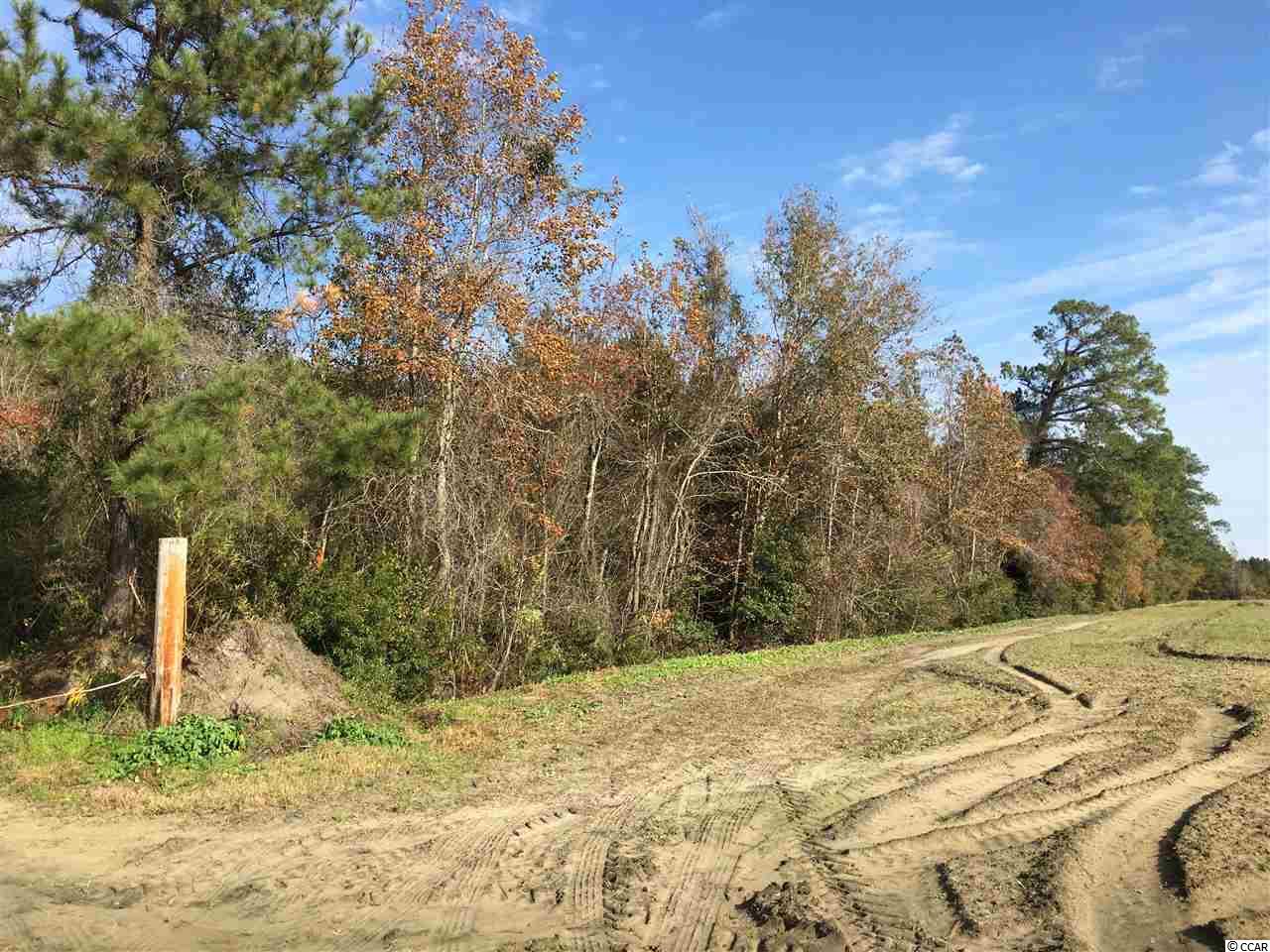2 Huckleberry Road Galivants Ferry, SC 29544 - Photo 3 of 19 Gallery Image 3