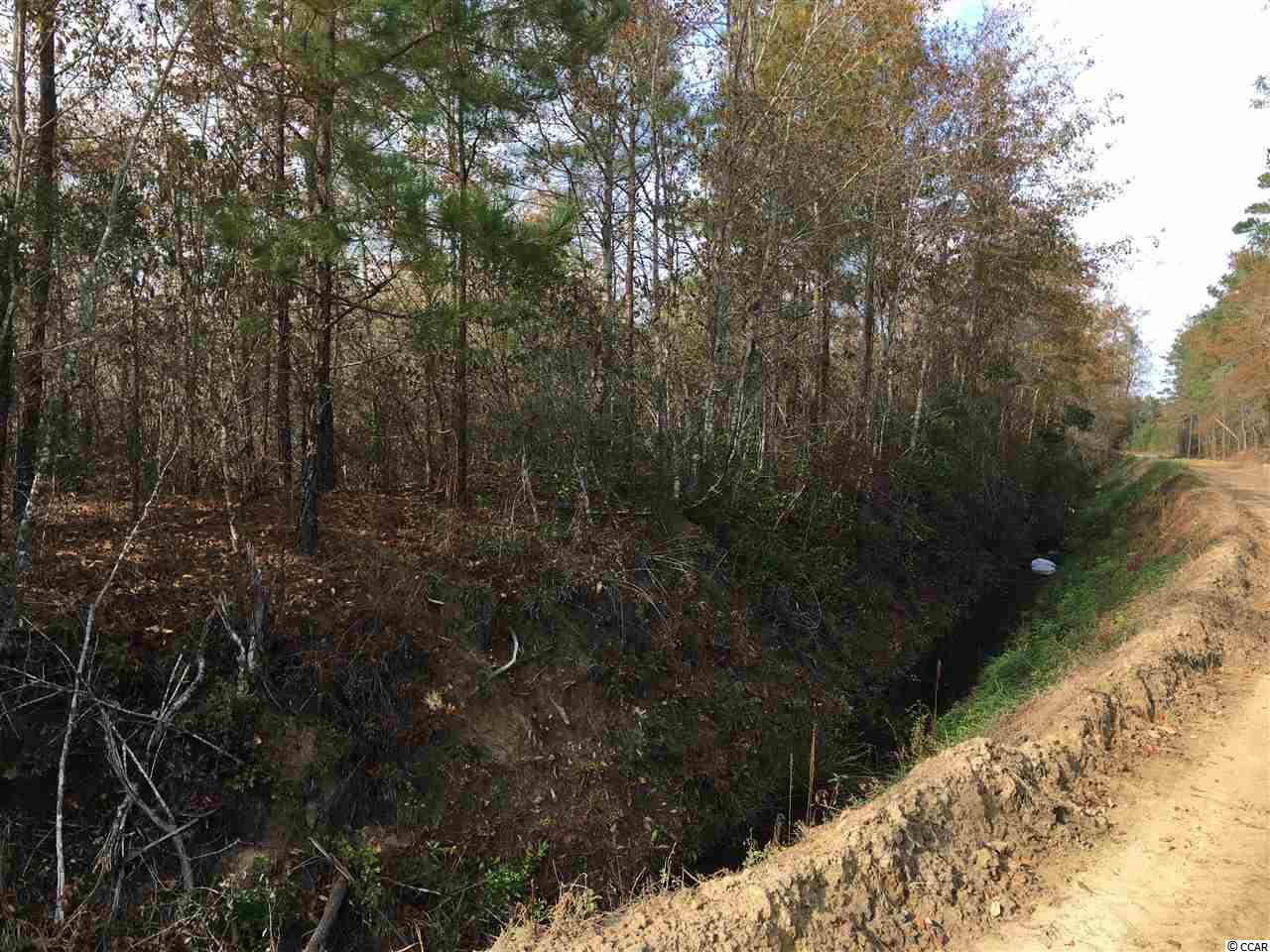 2 Huckleberry Road Galivants Ferry, SC 29544 - Photo 8 of 19 Gallery Image 8