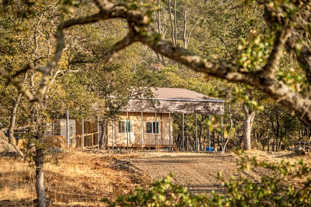 a view of a large yard with large trees