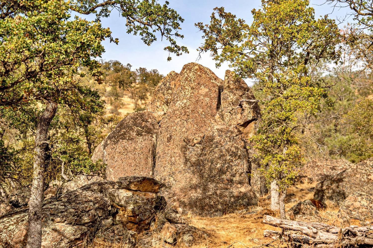 0 Ranch Road Valley Springs, CA 95252 - Photo 18 of 43 a view of covered with green space