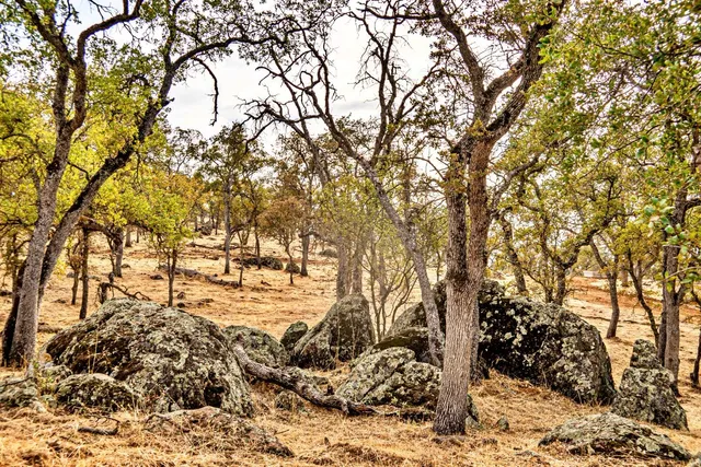 a view of a livingroom with wooden furniture