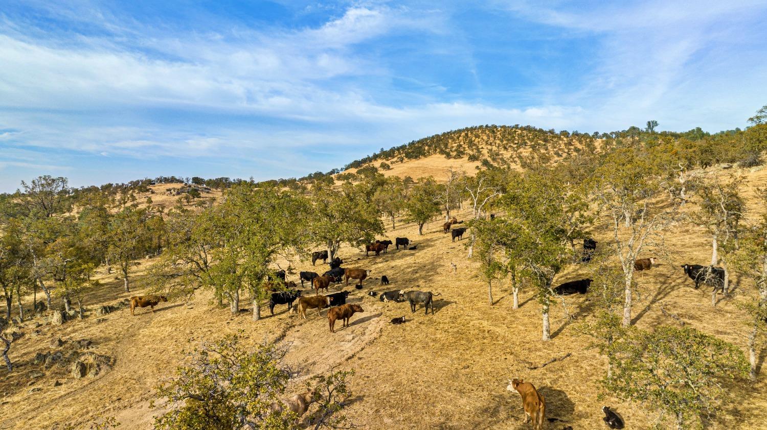 0 Ranch Road Valley Springs, CA 95252 - Photo 24 of 43 a view of mountains