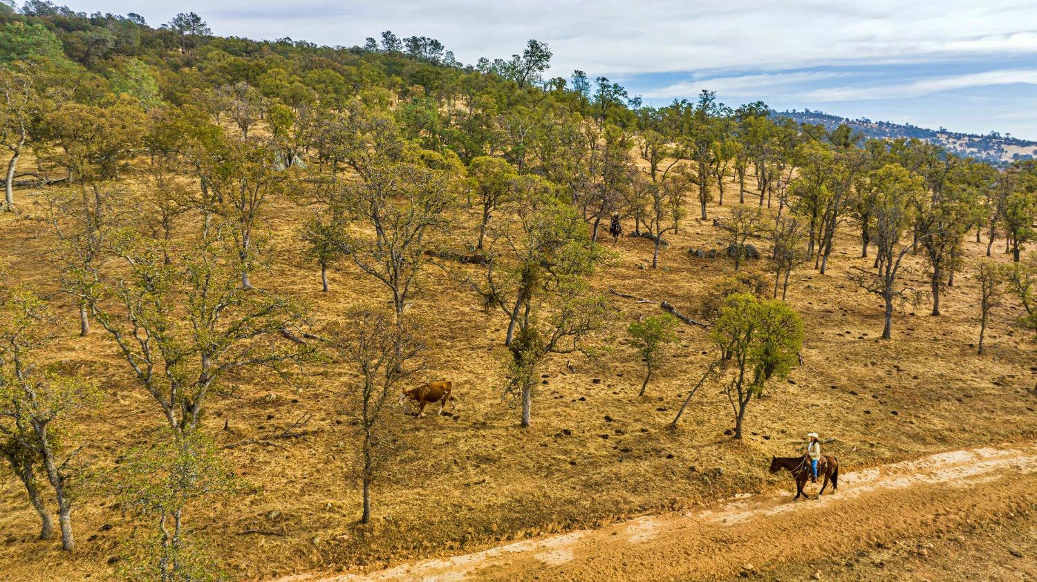 0 Ranch Road Valley Springs, CA 95252 - Photo 25 of 43