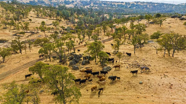 a view of lake and mountain