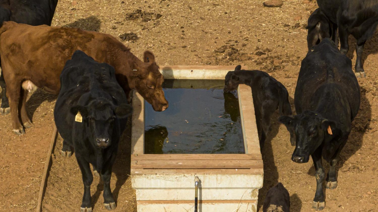 0 Ranch Road Valley Springs, CA 95252 - Photo 32 of 43 a view of entryway