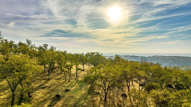 a view of a yard of a house