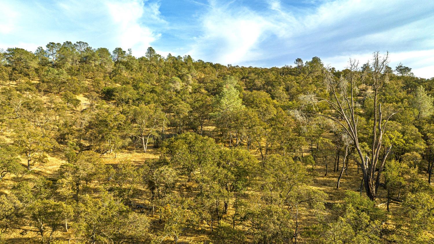 0 Ranch Road Valley Springs, CA 95252 - Photo 41 of 43 a view of a city