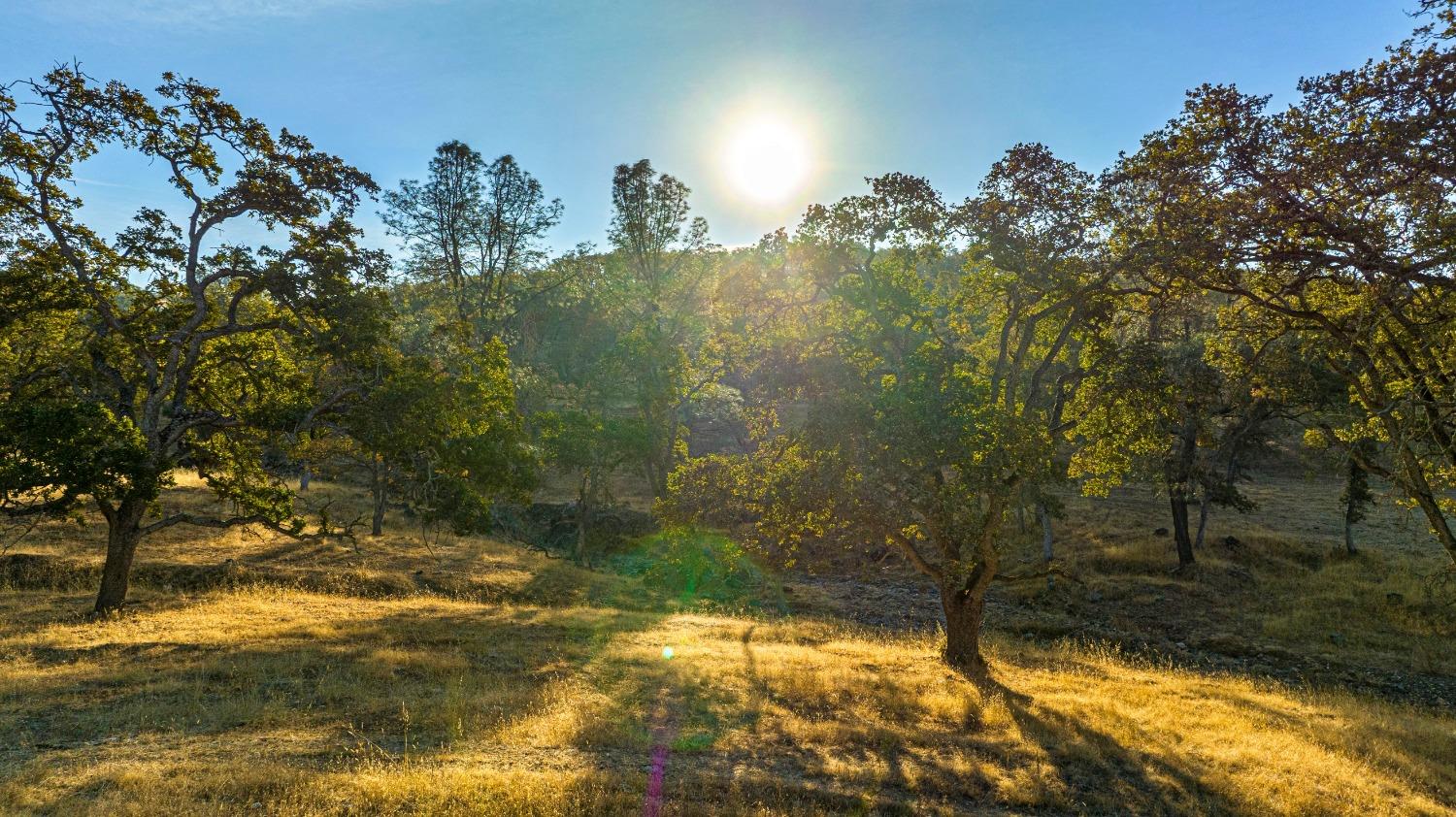 0 Ranch Road Valley Springs, CA 95252 - Photo 43 of 43 a view of a yard
