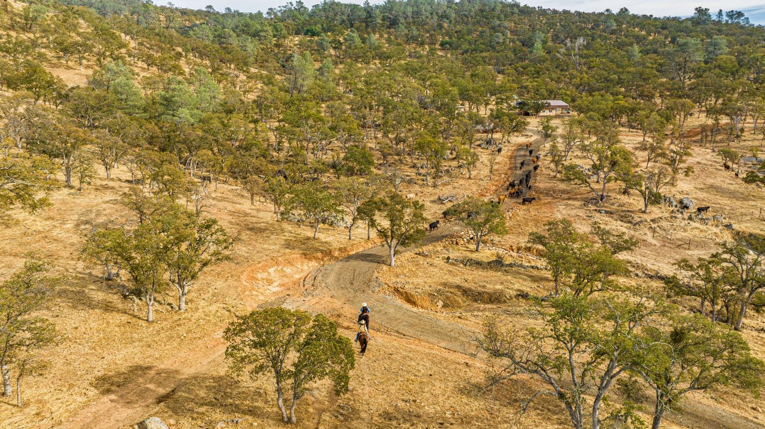 0 Ranch Road Valley Springs, CA 95252 - Photo 5 of 43 a view of a yard of a house