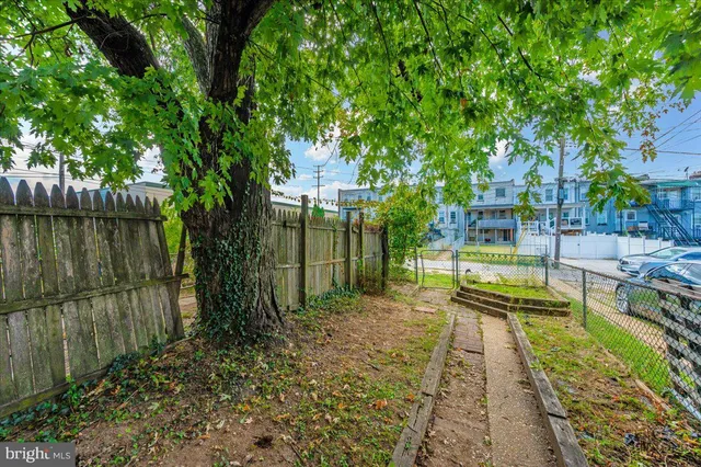 a view of a park with tree s