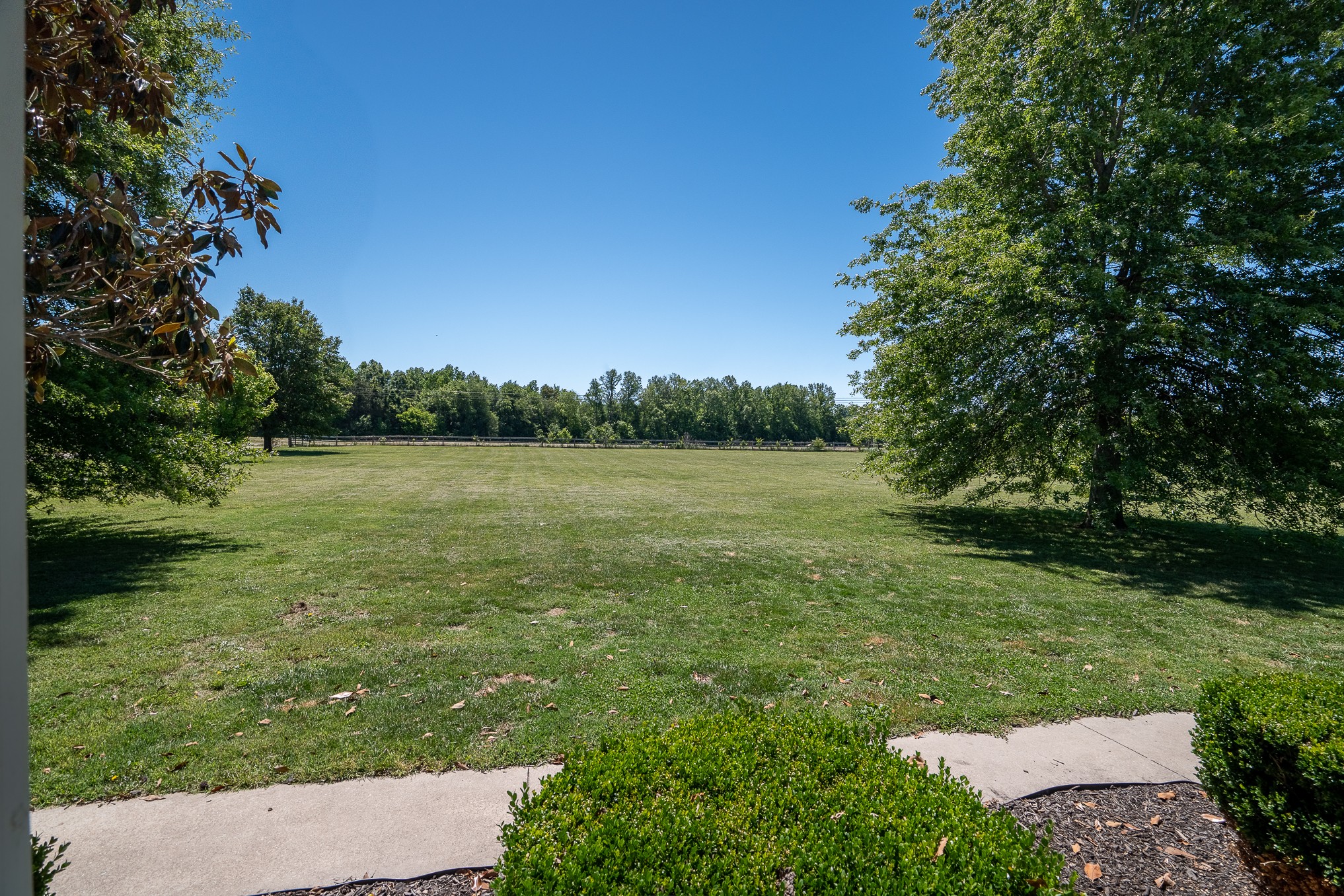 11220 Shelbyville Road Morrison, TN 37357 - Photo 49 of 67 a view of a garden with a tree