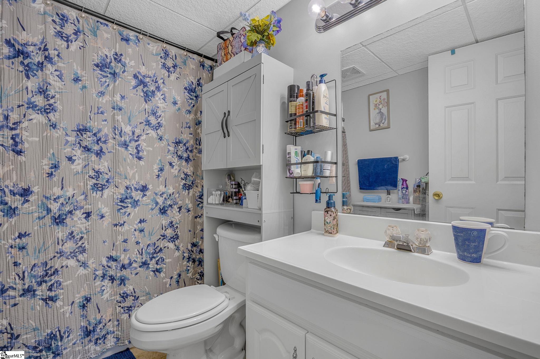 220 Blue Berry Trail Pickens, SC 29671 - Photo 30 of 44