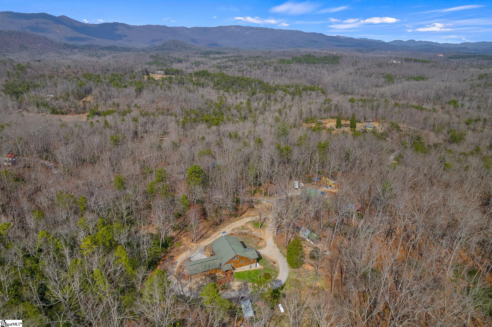 220 Blue Berry Trail Pickens, SC 29671 - Photo 44 of 44
