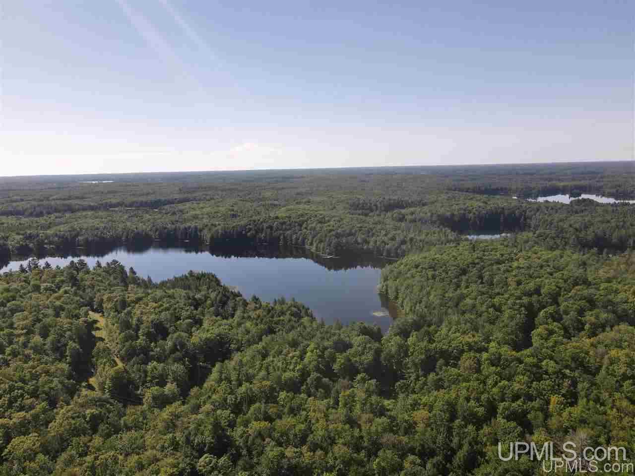E18441 Grace Lake Road Watersmeet, MI 49969 - Photo 10 of 41 Gallery Image 10