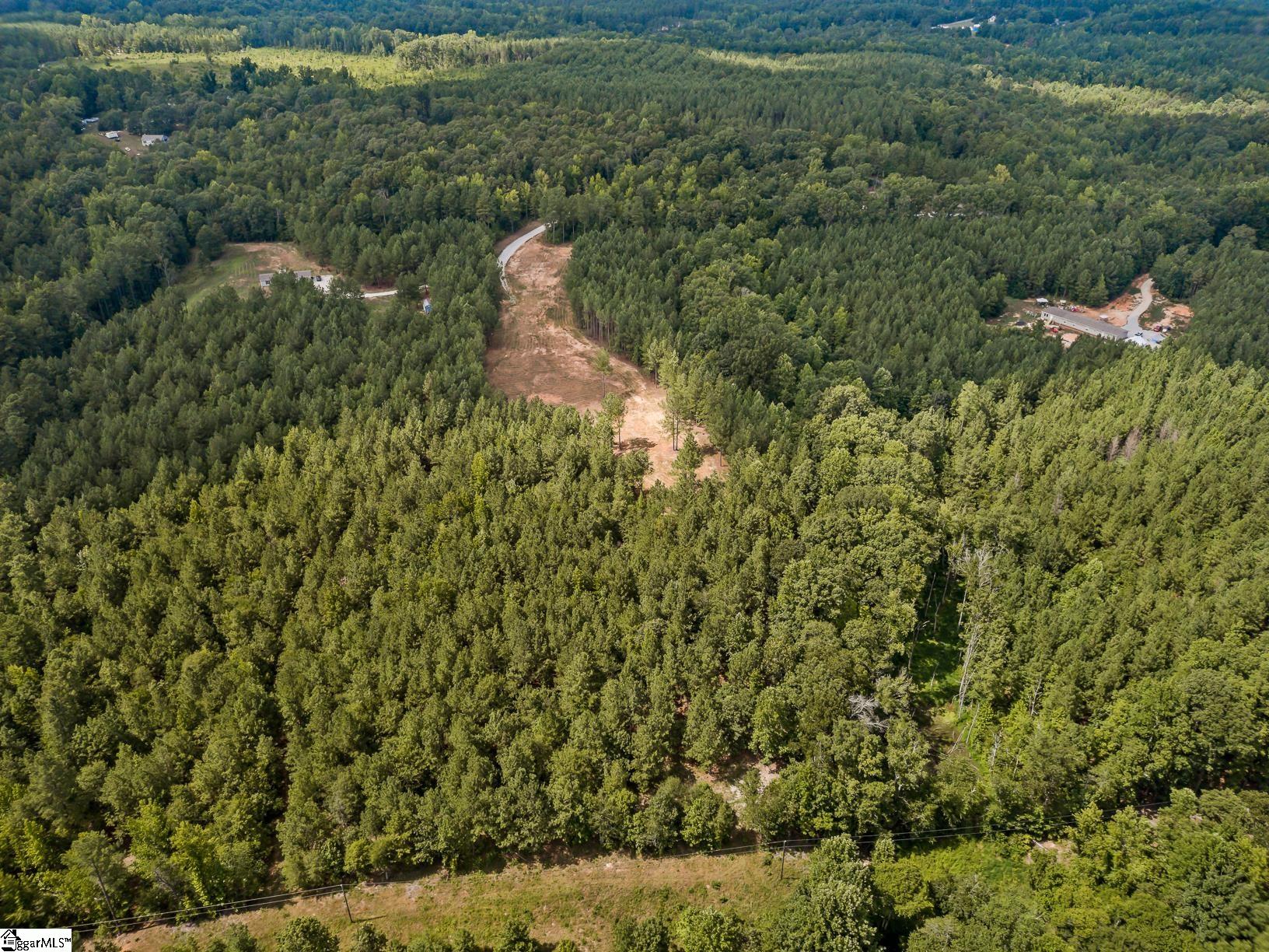 242 Mattie Campbell Road, Unit TRACT B Honea Path, SC 29654 - Photo 11 of 15