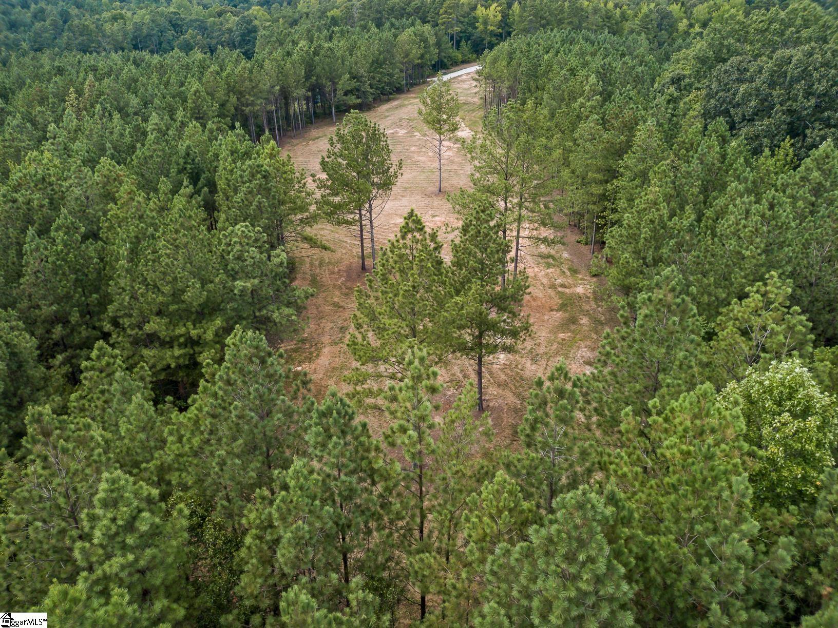 242 Mattie Campbell Road, Unit TRACT B Honea Path, SC 29654 - Photo 13 of 15