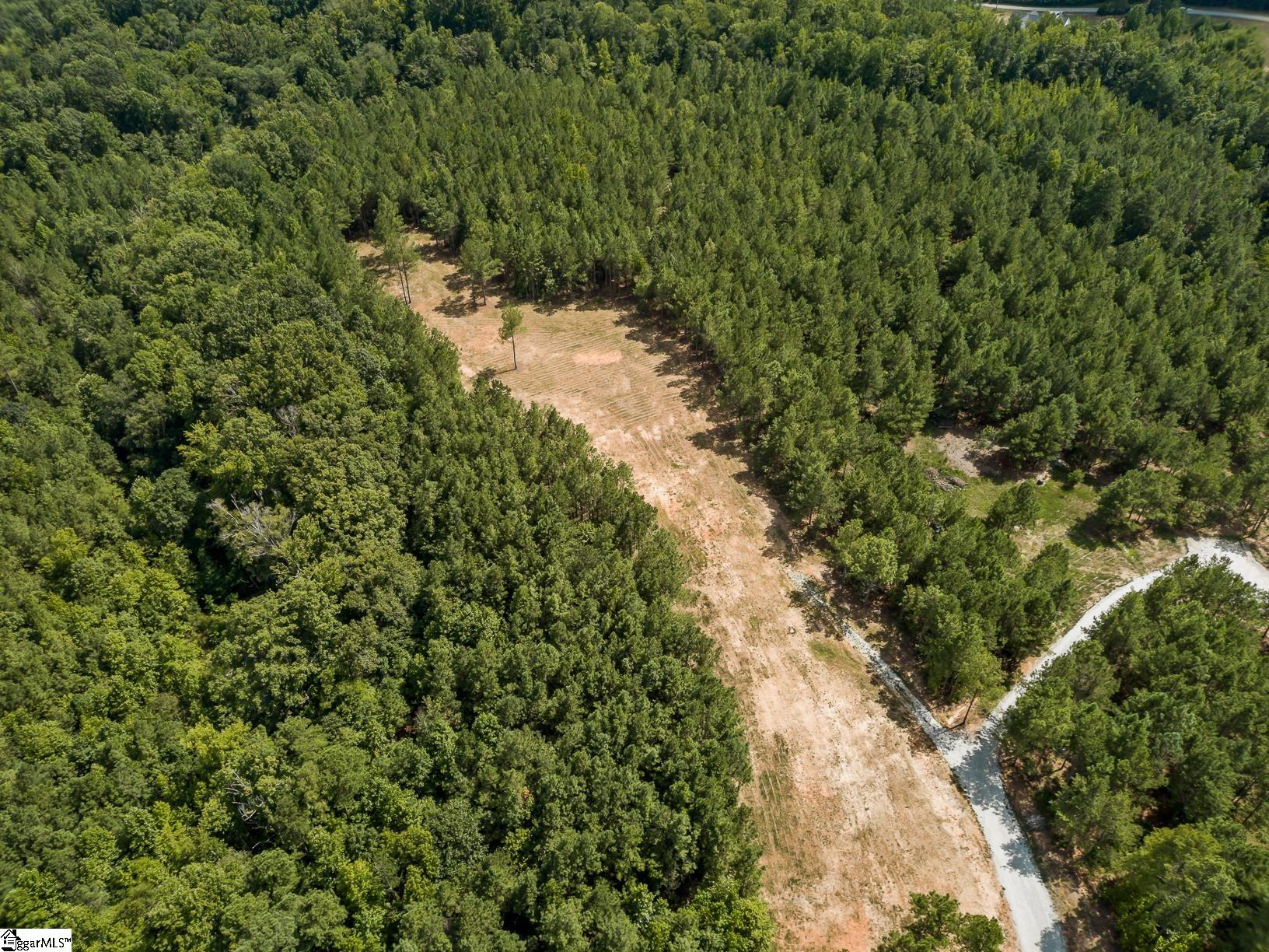 242 Mattie Campbell Road, Unit TRACT B Honea Path, SC 29654 - Photo 2 of 15