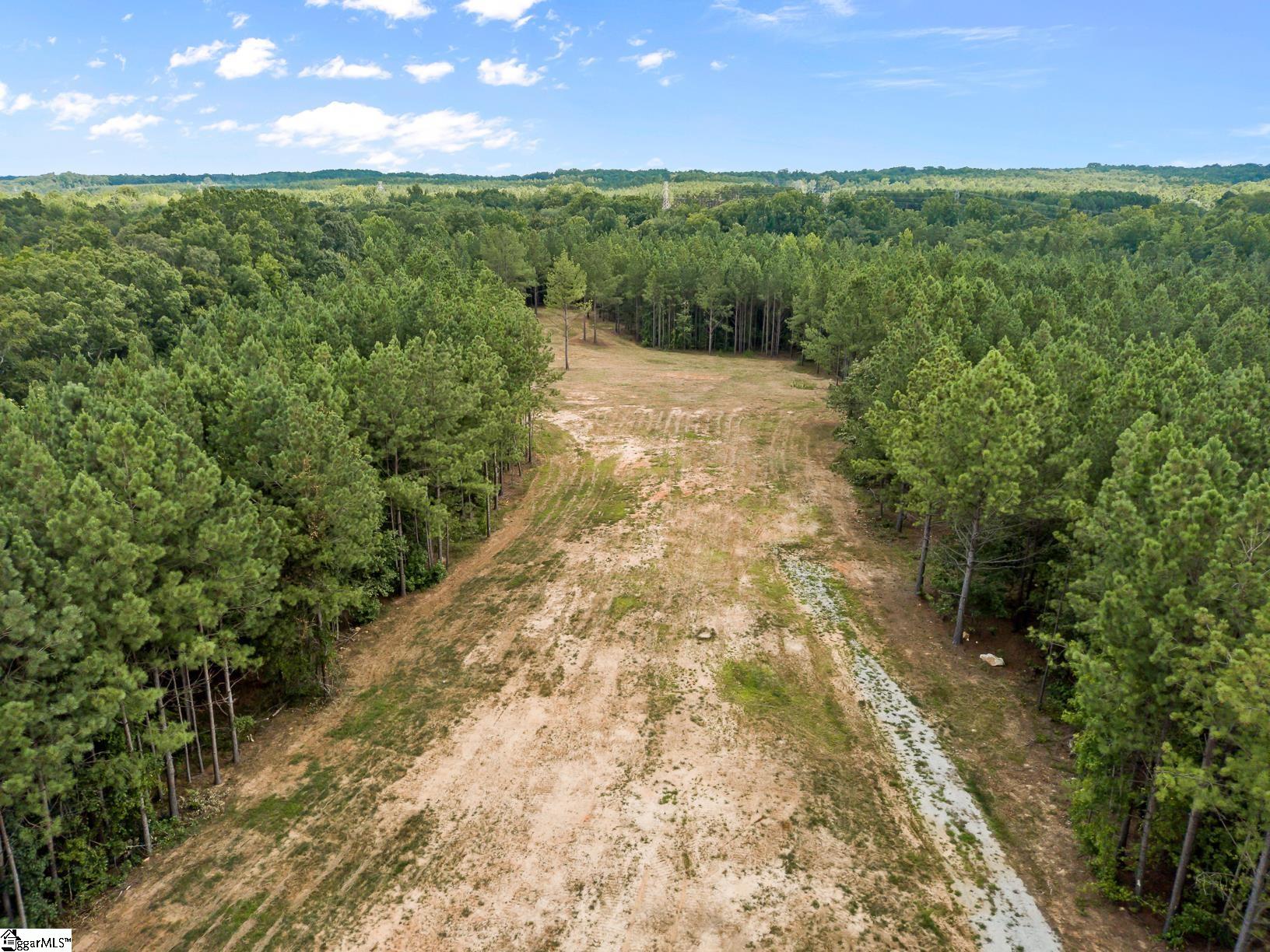 242 Mattie Campbell Road, Unit TRACT B Honea Path, SC 29654 - Photo 6 of 15