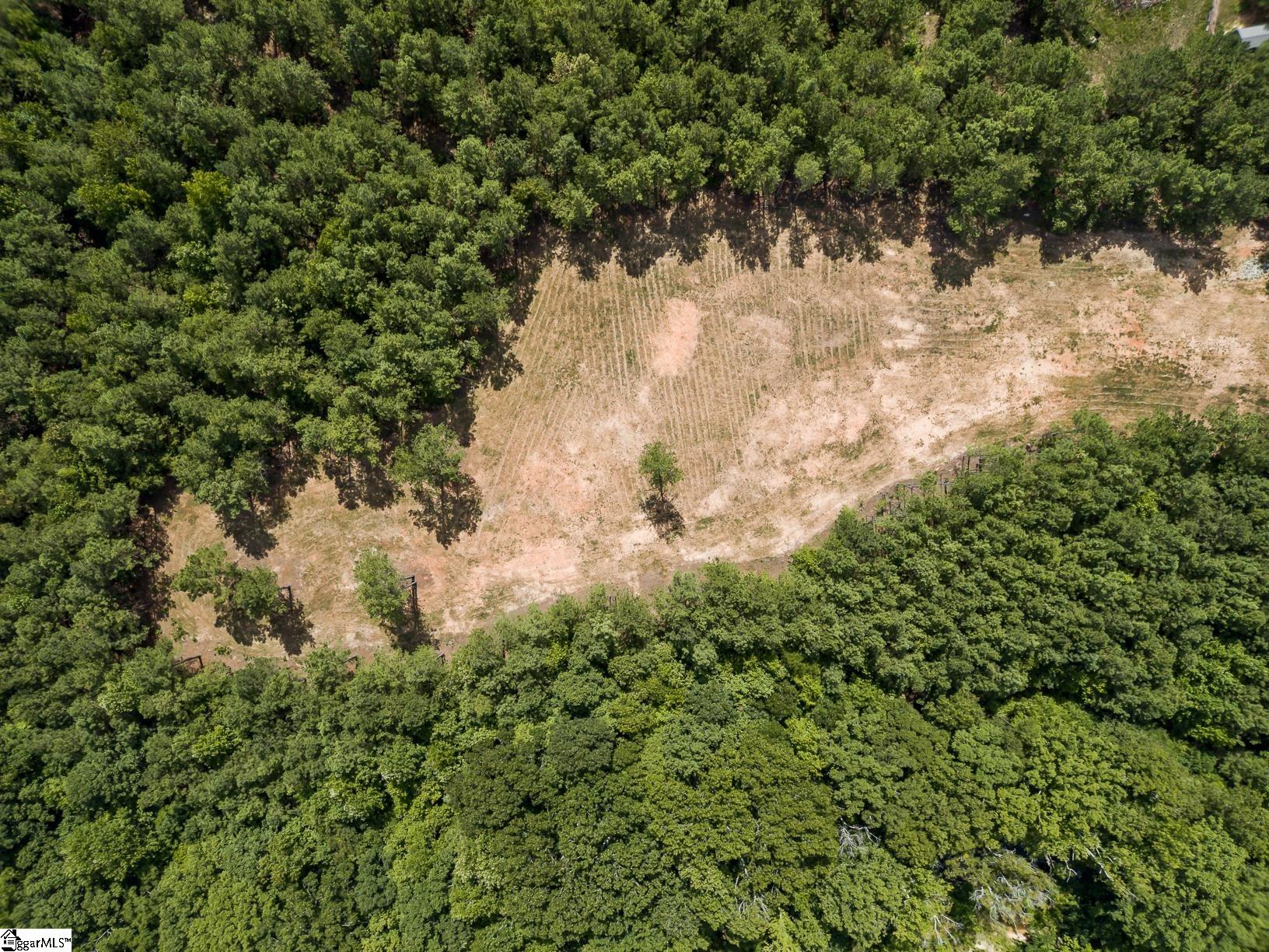 242 Mattie Campbell Road, Unit TRACT B Honea Path, SC 29654 - Photo 8 of 15