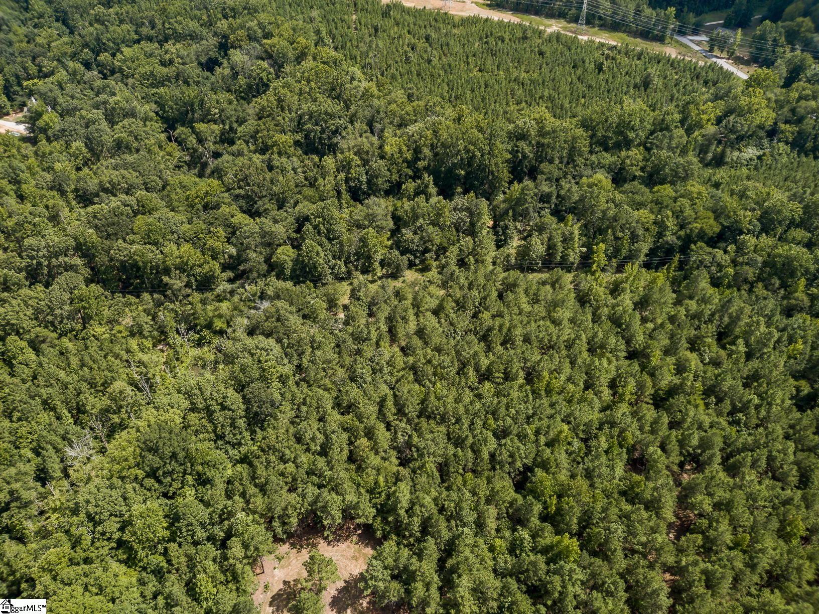 242 Mattie Campbell Road, Unit TRACT B Honea Path, SC 29654 - Photo 9 of 15