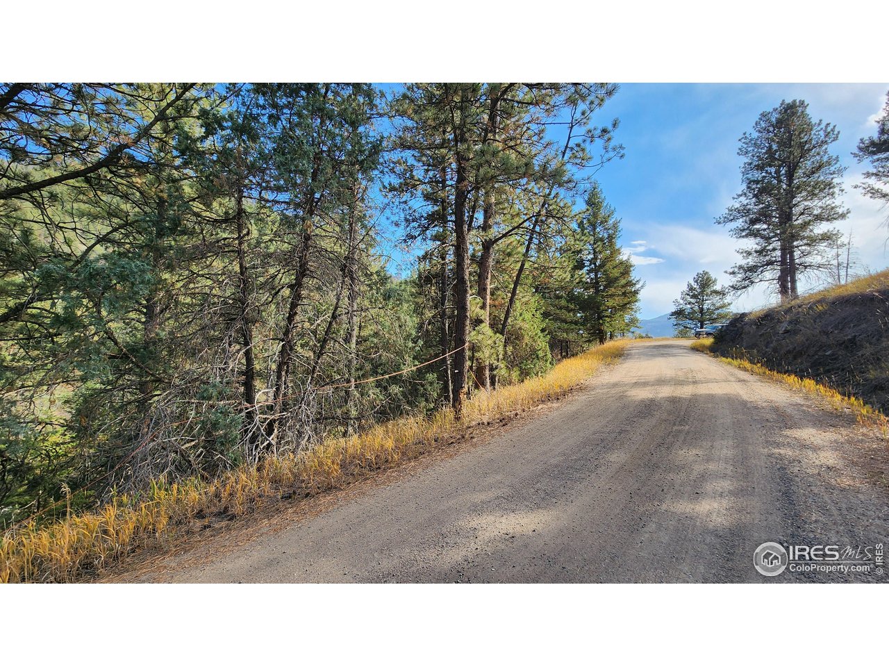 84 Copper Hill Road Drake, CO 80515 - Photo 18 of 28