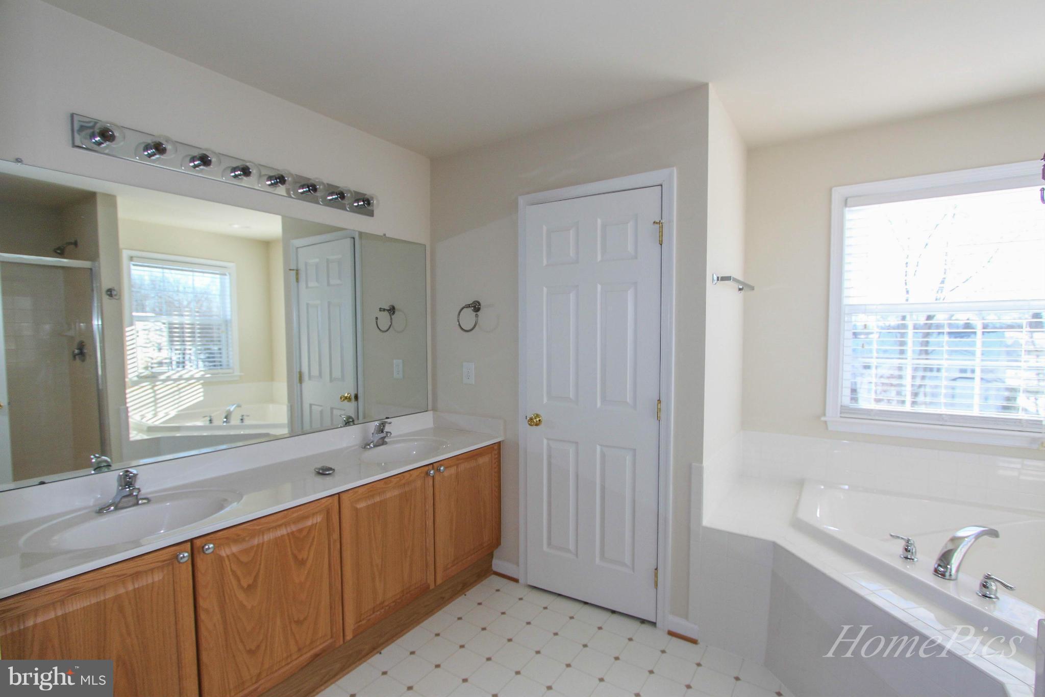 100 Rippling Waters Way Falling Waters, WV 25419 - Photo 13 of 30 Bath (Master)