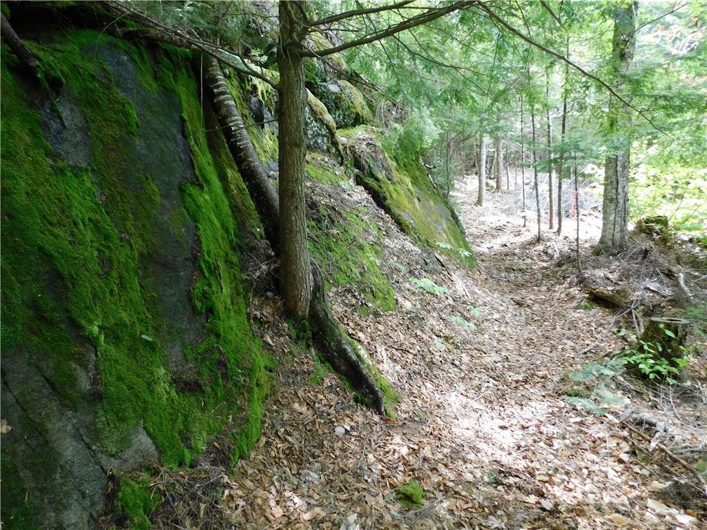 Pp41 East Road West Forks, ME 04985 - Photo 21 of 21 Photo