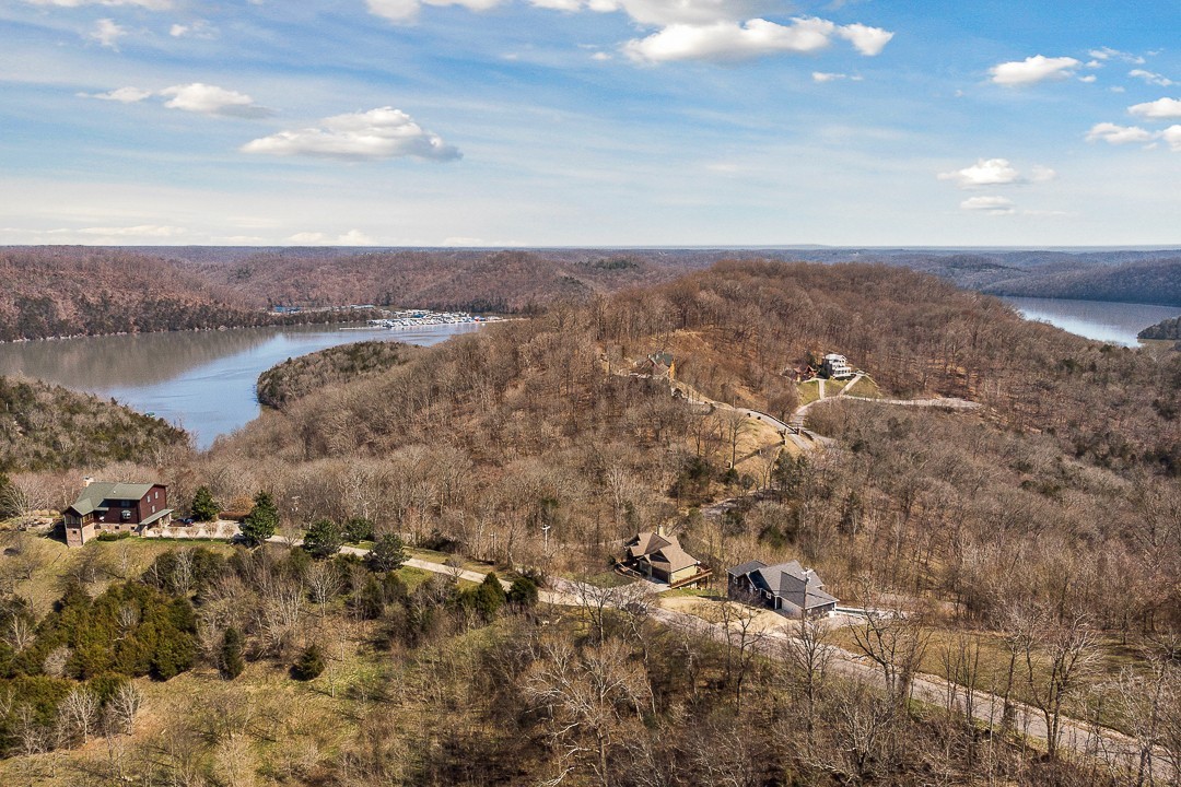 5320 Coconut Ridge Road Smithville, TN 37166 - Photo 45 of 47 a view of a city