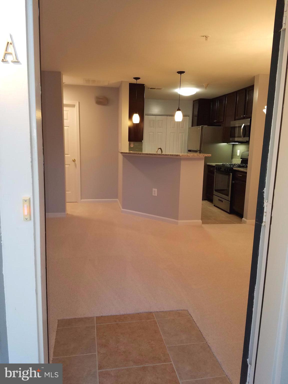 11405 Windleaf Court, Unit A Reston, VA 20194 - Photo 4 of 22 Interior (General)