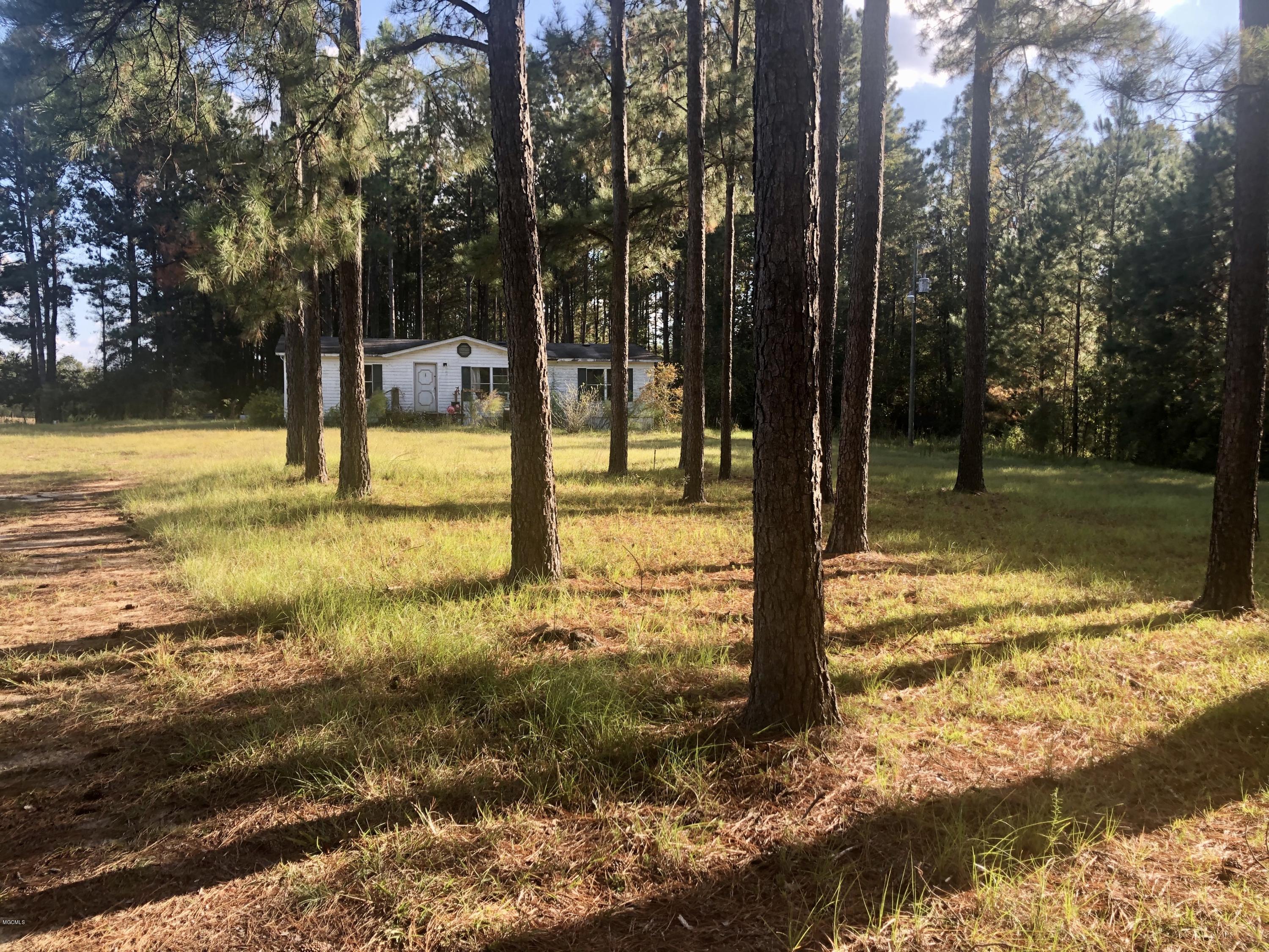 351 Loarn Morris Freeman Road Richton, MS 39476 - Photo 1 of 4 IMG_E2925