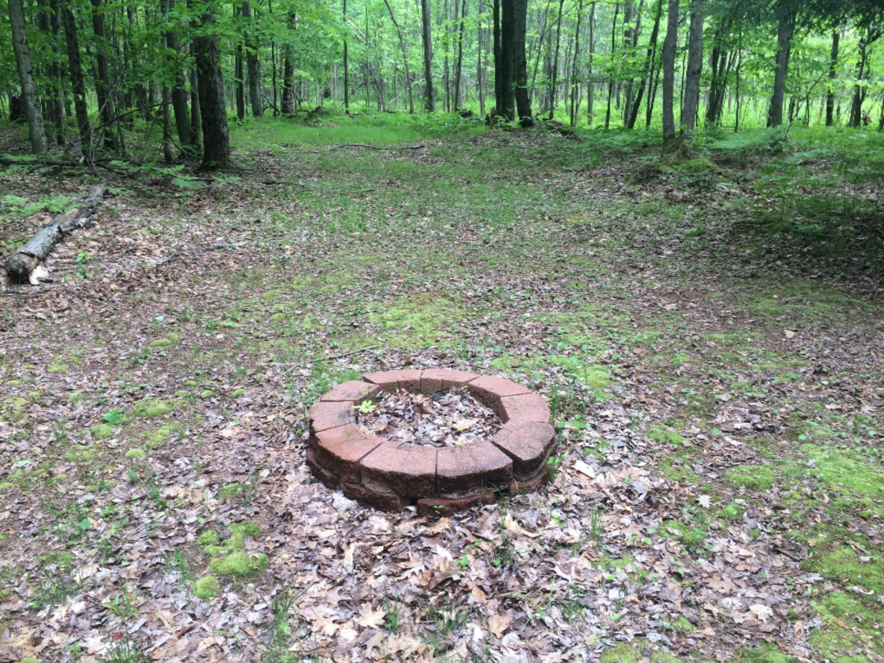 9532 5 Mile Road Hesperia, MI 49421 - Photo 17 of 25 IMG_3775