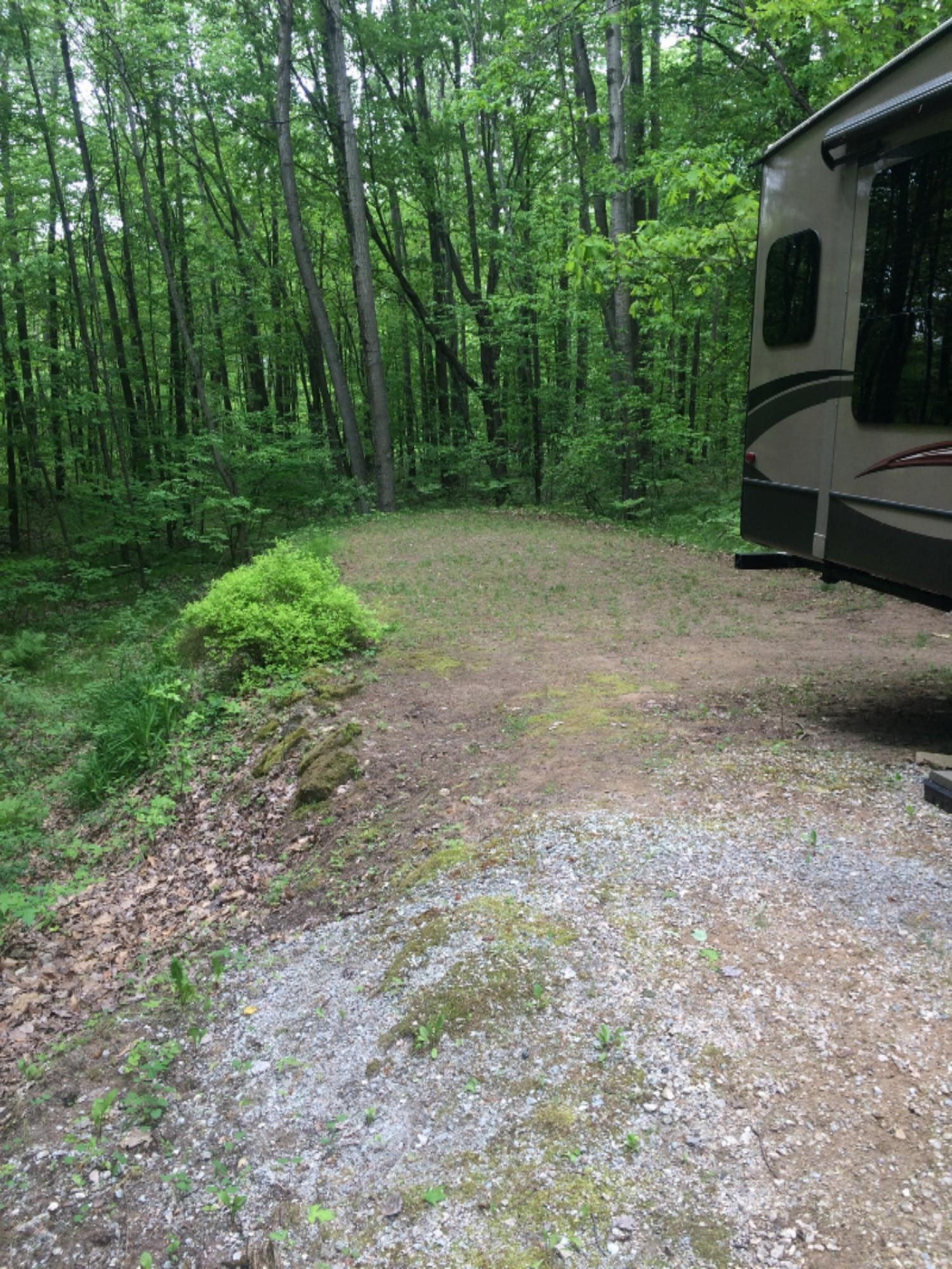 9532 5 Mile Road Hesperia, MI 49421 - Photo 25 of 25 IMG_3783