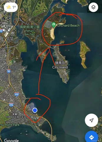 a picture of a bench in a potted plant