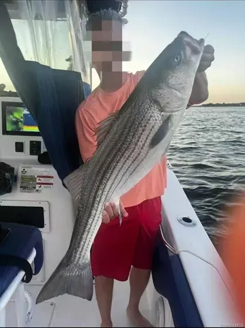 a view of balcony with furniture