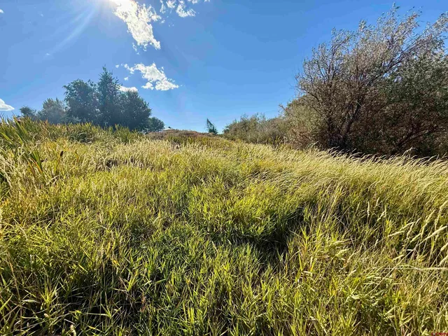 a view of a houses with a yard