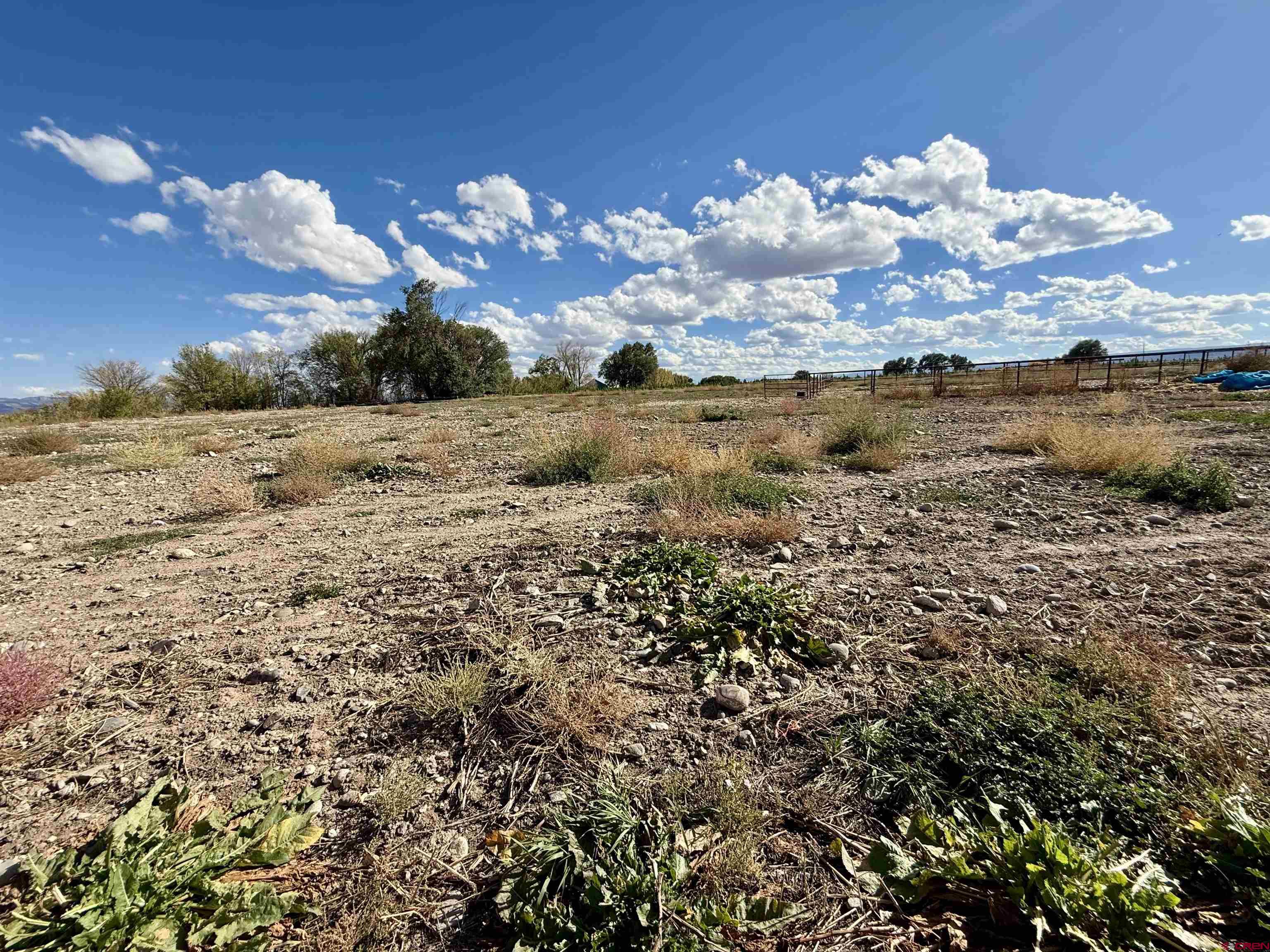 Tbd 5500th Road Olathe, CO 81425 - Photo 23 of 25 a view of lake with mountain view