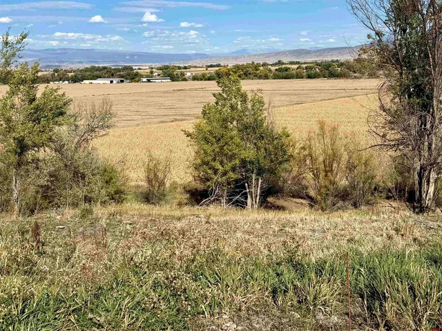 a view of an ocean beach