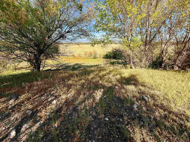 a view of yard covered with green space