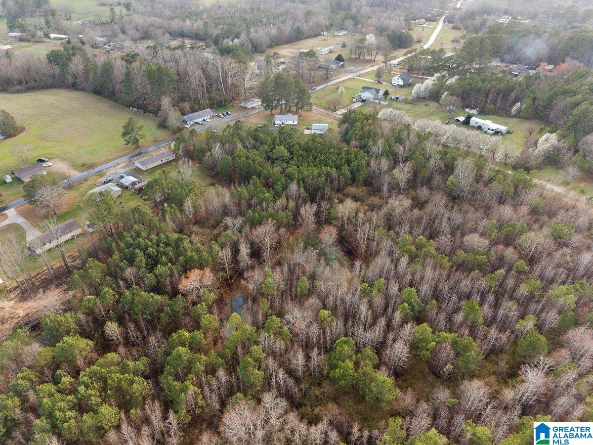 407 Wilson Chapel Road Oneonta, AL 35121 - Photo 35 of 37