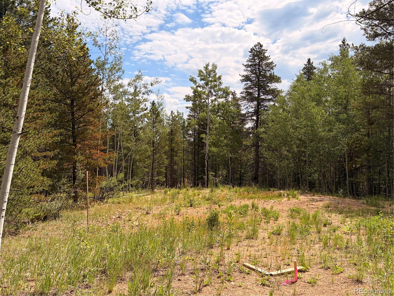 5940 Virginia Canyon Road Central City, CO 80427 - Photo 7 of 28
